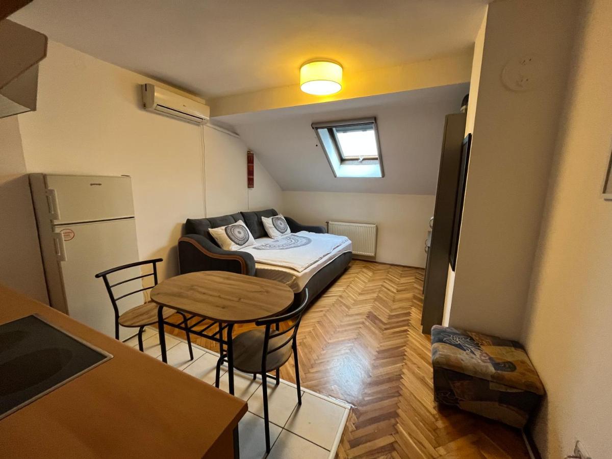 Studio In The Centre Of Novi Sad Lejlighed Eksteriør billede