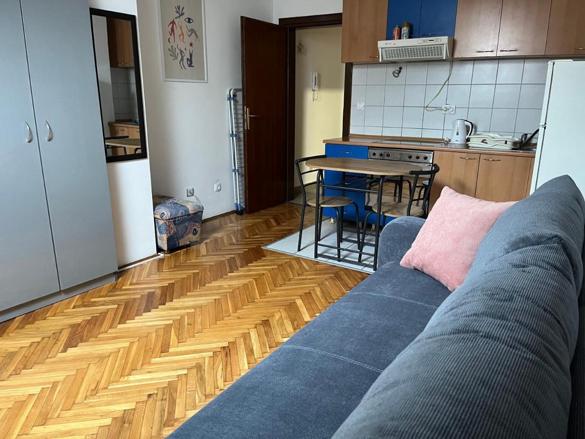 Studio In The Centre Of Novi Sad Lejlighed Eksteriør billede