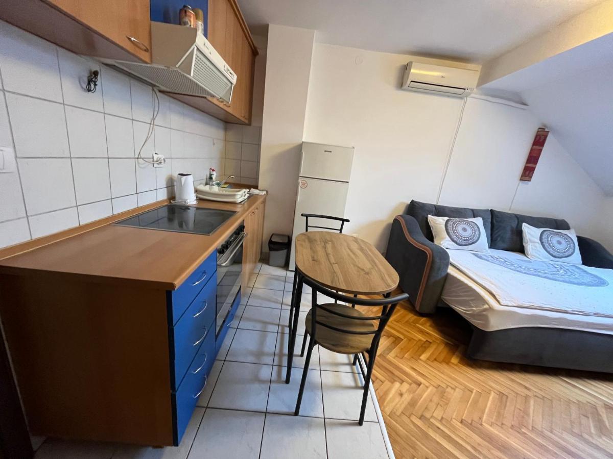 Studio In The Centre Of Novi Sad Lejlighed Eksteriør billede